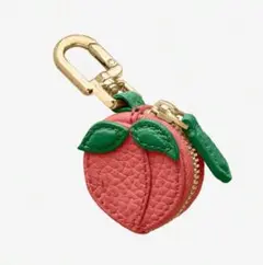 フルーツ　コインケース　Airtag