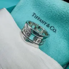 【TIFFANY&Co】鏡面仕上げ　9号　エレメントリング　シルバー