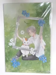 夏目友人帳　複製原画16枚セット