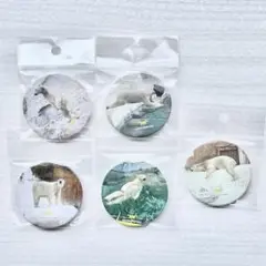 ホウちゃん　缶バッジ　ホッキョクグマ　限定　天王寺動物園