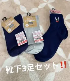 魔女の宅急便 ジジ と オーガニックコットン混 靴下 3足セット レディース