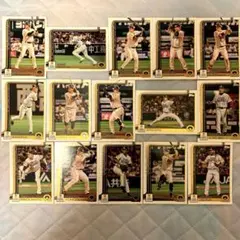 Item thumbnail for item d6646531-eb66-4522-8ccf-4974540d4de9