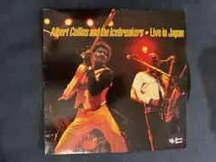 Albert Collins and the Icebreakers