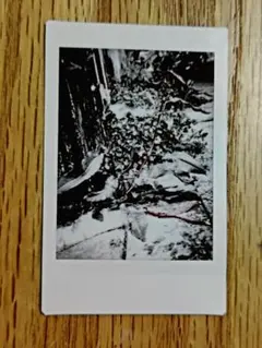 Item thumbnail for item 3384cdd0-3f46-4693-a618-3a8c4051503b