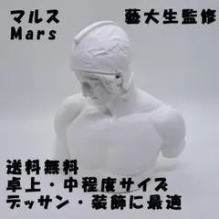 ★10AAM018 マルスの頭像 石膏像 高さ約52cm 重さ約9.7kg こう様専用 石膏像 マルス 胸像 デッサン インテリア 美術 高さ