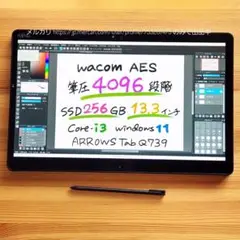 大容量256GB★新しめ8世代★大画面13インチ★Q73 9お絵描きタブレット