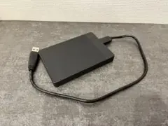 UnionSine 500GB 外付けハードディスク H2013
