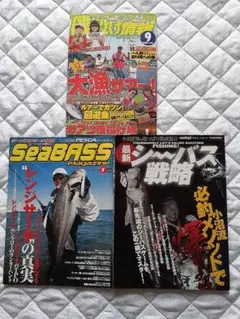 【284】シーバス釣り　磯釣り　雑誌3冊セット