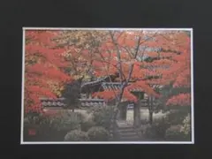 澁澤卿、【花盛参道】、希少な額装用画集より、新品額装付、状態良好 2025年最新】澁澤卿の人気アイテム - メルカリ