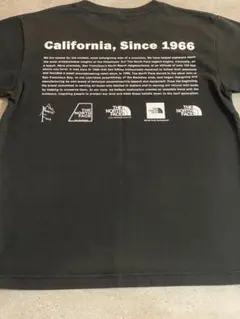THE NORTH FACE ブラック Tシャツ M