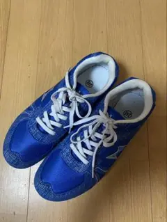 Item thumbnail for item 86df7801-0567-418a-8333-989cb80915d2