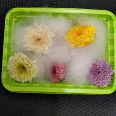 Item thumbnail for item 9f424ff0-5d45-4e00-8495-f94150986351