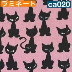 ラミネート　50センチ