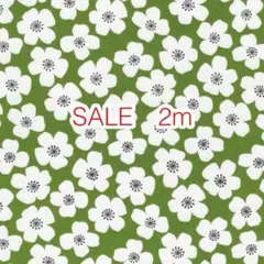 SALE 2m お花 グリーン オックス