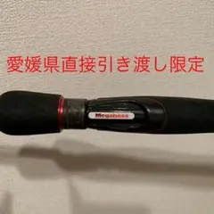 直接引き渡し限定 Megabassエスパーダ ※カスタム品