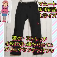 Item thumbnail for item 62d3cf7d-7bbe-4a02-b556-60c5fb71a073
