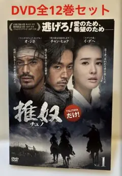韓国ドラマ　推奴　DVD 1-12巻　全巻セット