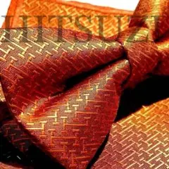 Item thumbnail for item 45c11717-6ef3-4401-b09e-90b9a548b419