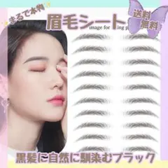 眉毛シート ブラック 眉毛シール アートメイク タトゥー ティント 黒 4D