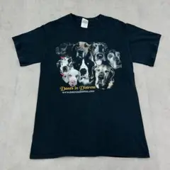 グレートデン　集合　ワンちゃん　トップス　半袖　Tシャツ　古着　ブラック　黒　S