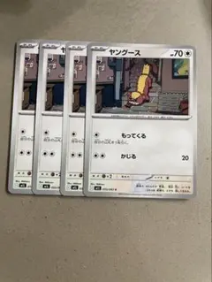 ヤングース　4枚