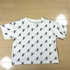 KANGOL 半袖Tシャツ Mサイズ ストレッチあり 美品