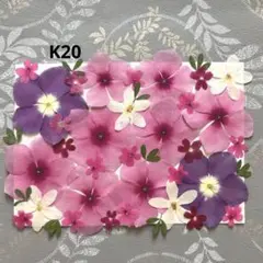 押し花素材　小花押し花　K20