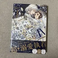 ヤンデレ魔法使いは石像の乙女しか愛せない　 4巻のみ