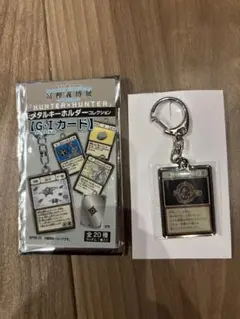 奇運アレキサンドライト キーホルダー HUNTER×HUNTER