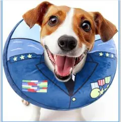 Item thumbnail for item d3111c8e-00bc-4617-9997-0474c2836e07