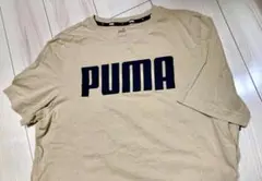 PUMA　ロゴTシャツ ベージュ