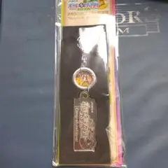 ポケモンメガスタンプラリー スペシャルキーリング