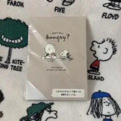 PEANUTS スヌーピー A6メモ 下敷き付 チャーリー