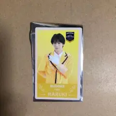 エビライ 2025 ランダムカード BUDDiiS HARUKI