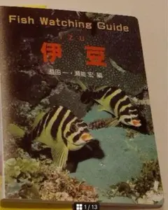 Fish Watching Guide 魚類観察ガイド　伊豆