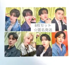 Straykids Hollow トレカ HMV 8枚 コンプ 特典