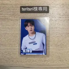 teriteri様専用