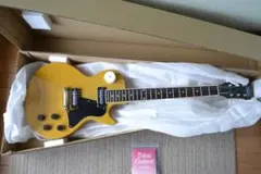2025年最新】TOkai レスポールスペシャルの人気アイテム - メルカリ