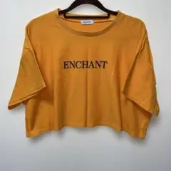 最安値❣️aquaist ENCHANT 刺繍 クロップドTシャツ オレンジ L