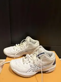 Item thumbnail for item 3a841b5d-479e-4b84-945e-0793ab913145