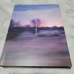 世界の中心で、愛をさけぶ３枚組