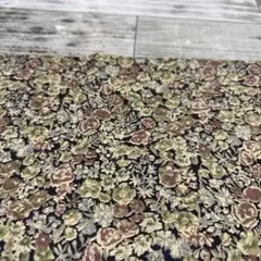 リバティ 80×24cmギリギリ