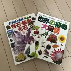 図鑑2種セット