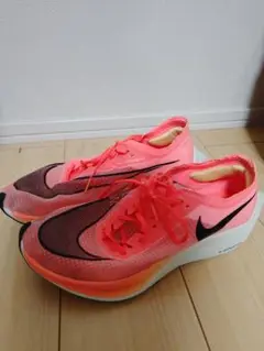 Item thumbnail for item 8ccb0215-0053-480e-a161-1725dd3d7749