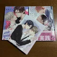 嘘つきセンセーション／BとLの間には／BLコミック2冊セット