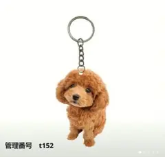 アクリルキーホルダー　トイプードル　トイプー　愛犬家　犬好き　かわいい