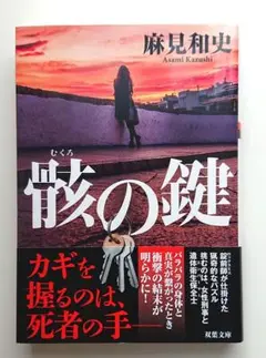 麻見和史「骸の鍵」