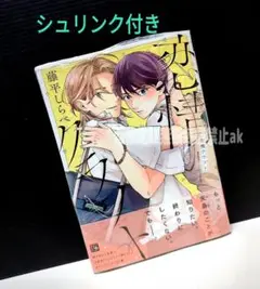 「恋情クラフト」 藤平しらべ