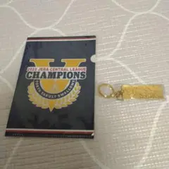 ヤクルトスワローズ　優勝記念グッズ