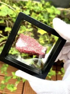 Item thumbnail for item 15401b5a-8015-4802-b1ae-5ab2caa9f65a